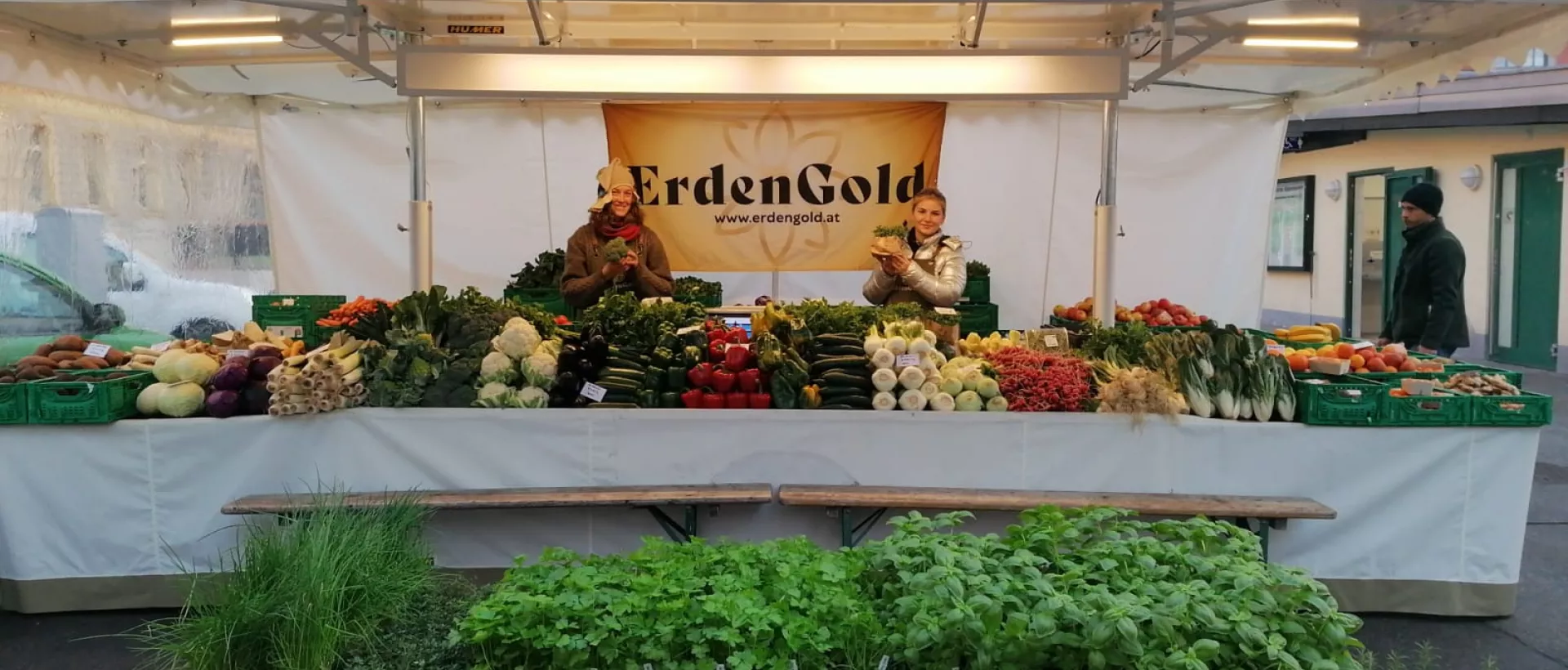 Marktanhänger für ErdenGold