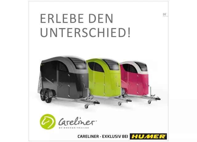 Careliner