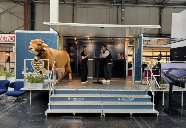 HUMER-Promotionahanger für ANUMAR Frontansicht