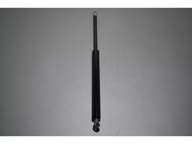 Gasfeder 2000N CH 550mm