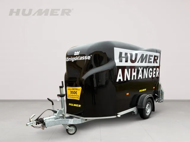 Cargo 280x150x168 Pullmann 1300 kg 13"